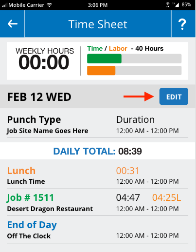 Time Manager Timesheet Edit Button